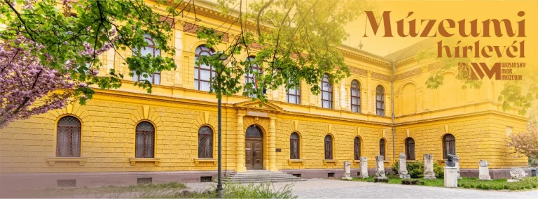 Wosinsky Mór Múzeum
