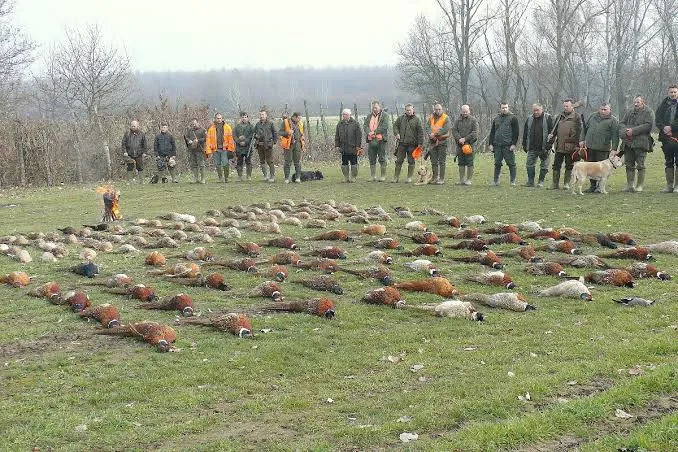 vadkár