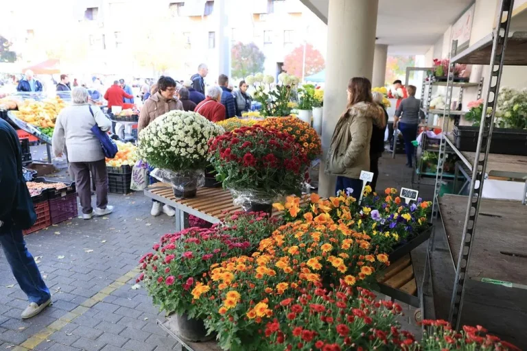 koszorúk